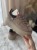 IMG_2173.jpeg