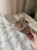 IMG_2655.jpeg